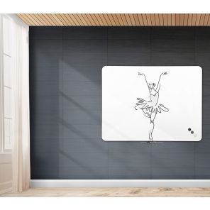 Naga Frameless Magnetic Whiteboards